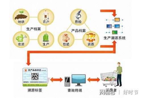 健康新方向 紅軍山藥面，信息管理服務(wù)賦能餐飲新體驗(yàn)